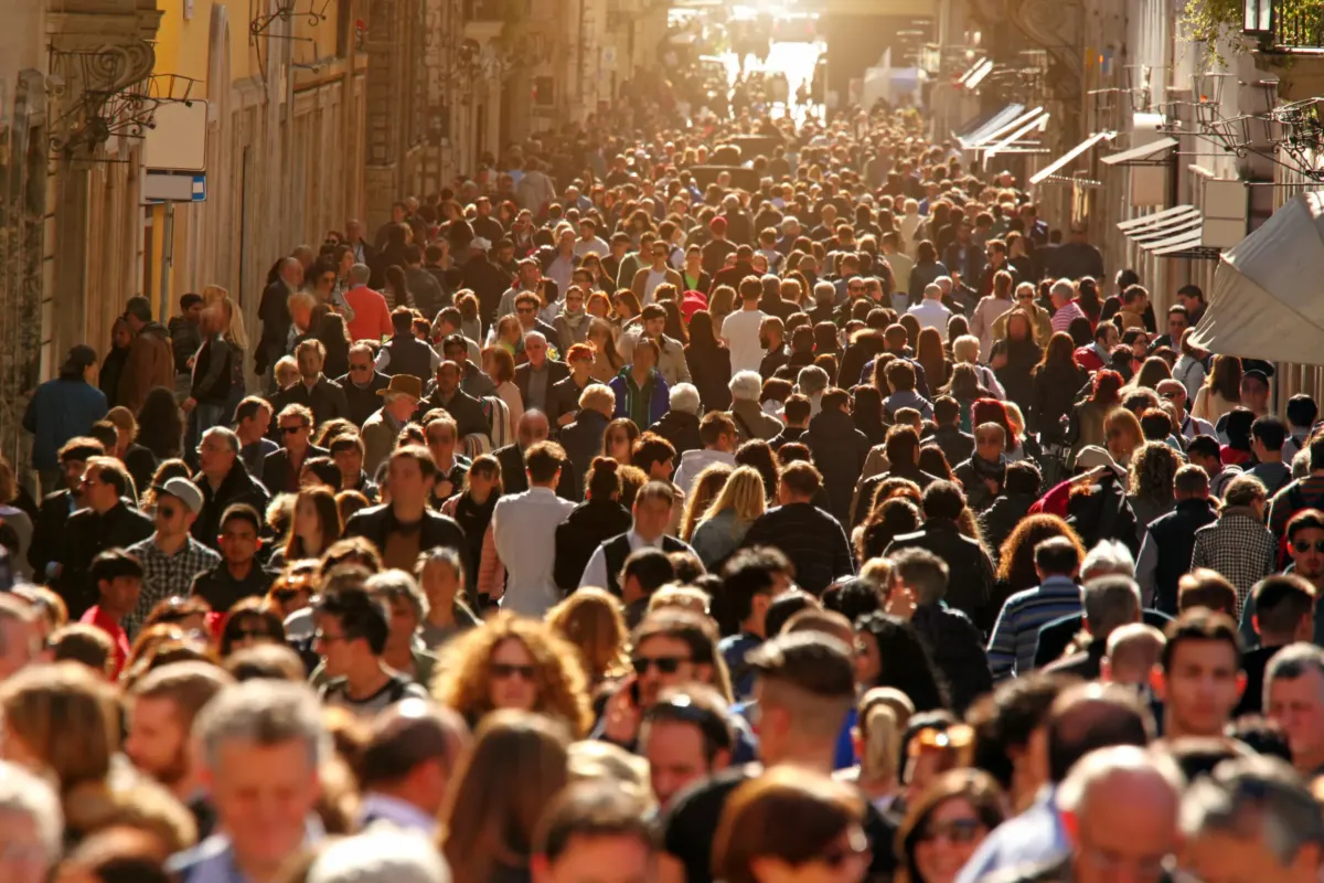 Türkiye İstatistik Kurumu (TÜİK) tarafından açıklanan verilere göre, 2024 yılında