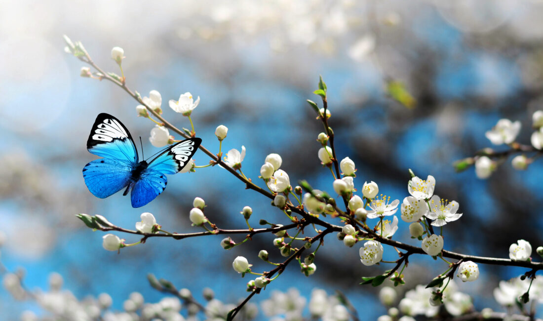 Meteoroloji Genel Müdürlüğü’nün (MGM) son değerlendirmelerine göre, ülke genelinde hava