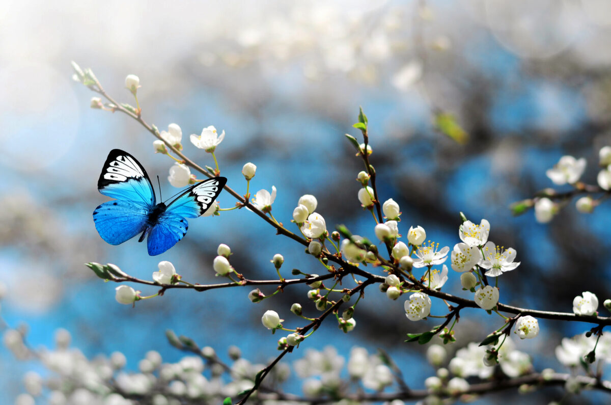 Meteoroloji Genel Müdürlüğü’nün (MGM) son değerlendirmelerine göre, ülke genelinde hava