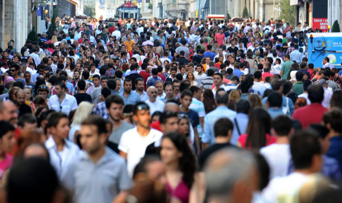 Türkiye İstatistik Kurumu (TÜİK) tarafından açıklanan verilere göre, Kasım 2024