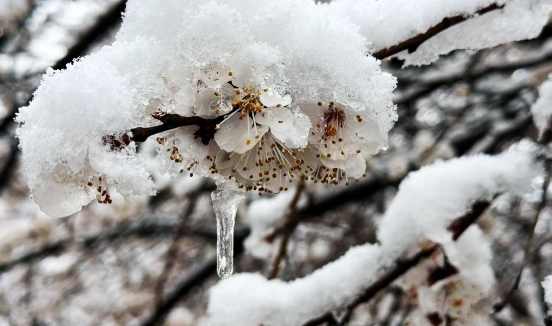 Çevre, Şehircilik ve İklim Değişikliği Bakanlığı'na bağlı Meteoroloji Genel Müdürlüğü