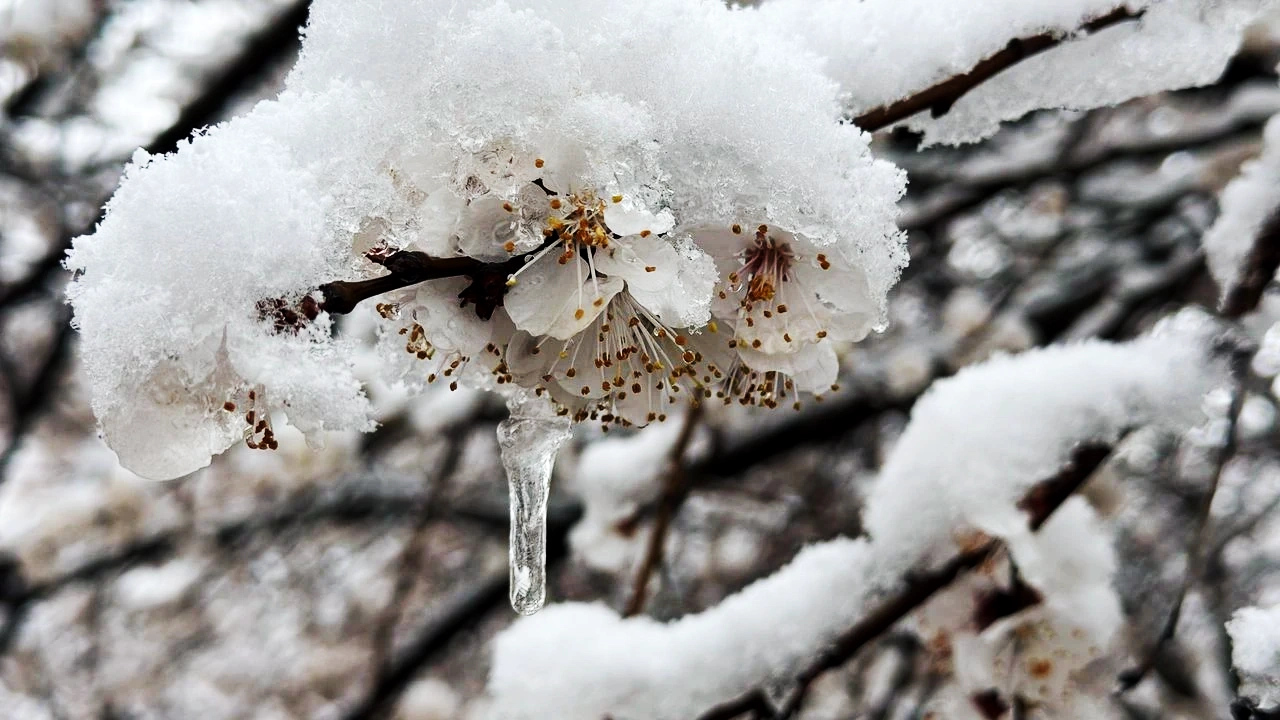 Çevre, Şehircilik ve İklim Değişikliği Bakanlığı'na bağlı Meteoroloji Genel Müdürlüğü