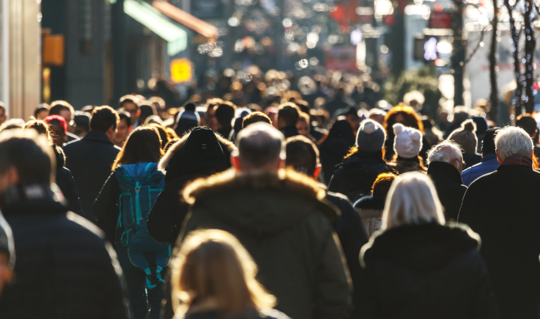 Türkiye İstatistik Kurumu (TÜİK) tarafından hazırlanan 31 Aralık 2024 tarihli