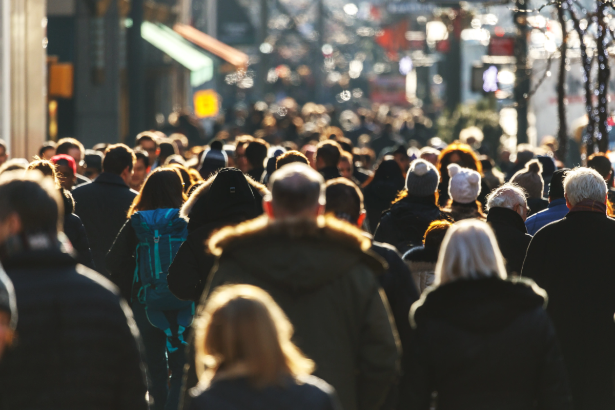 Türkiye İstatistik Kurumu (TÜİK) tarafından hazırlanan 31 Aralık 2024 tarihli