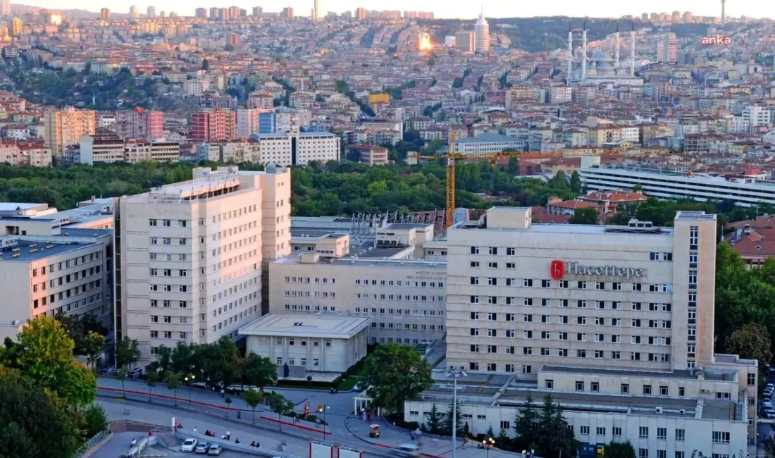 Hacettepe Üniversitesi, 2025 yılı için 3 sözleşmeli bilişim personeli alımı