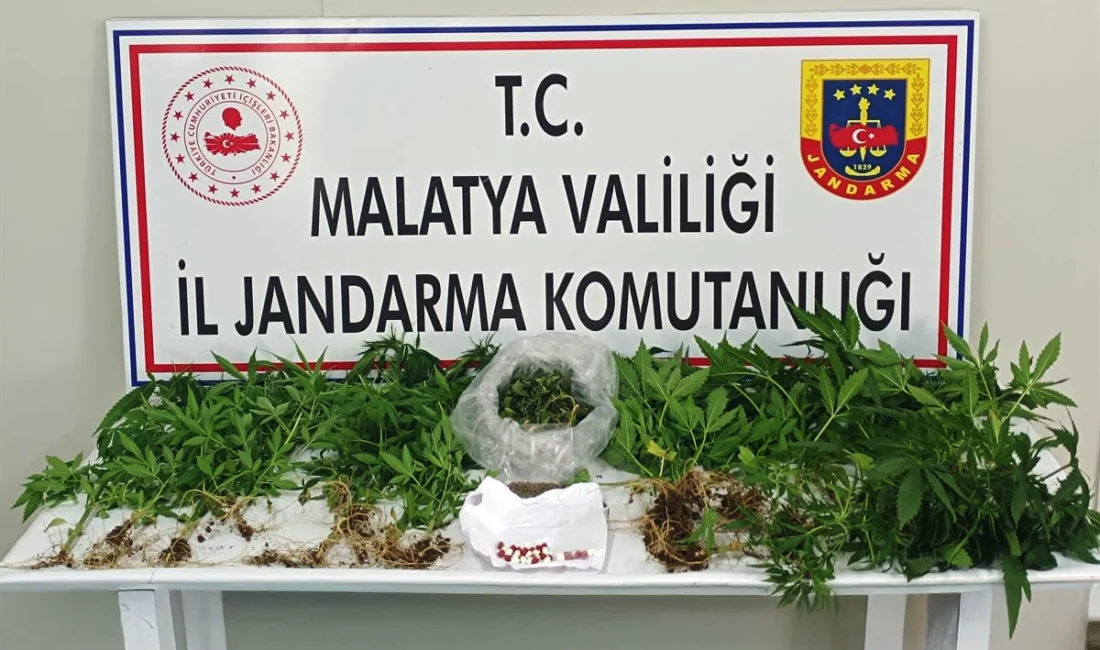 Malatya’da jandarma ekiplerinin düzenlediği üç ayrı narkotik operasyonda 1.215 adet