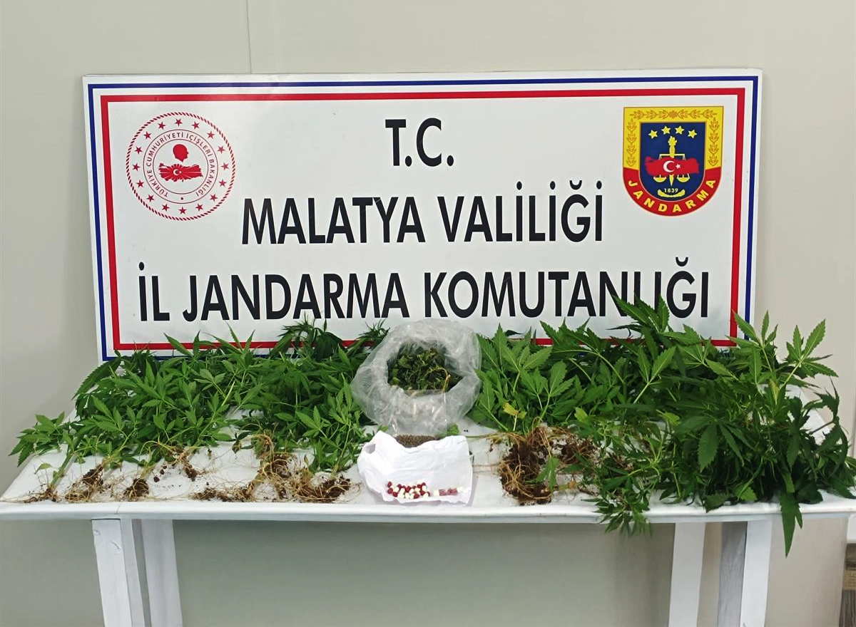Malatya’da jandarma ekiplerinin düzenlediği üç ayrı narkotik operasyonda 1.215 adet