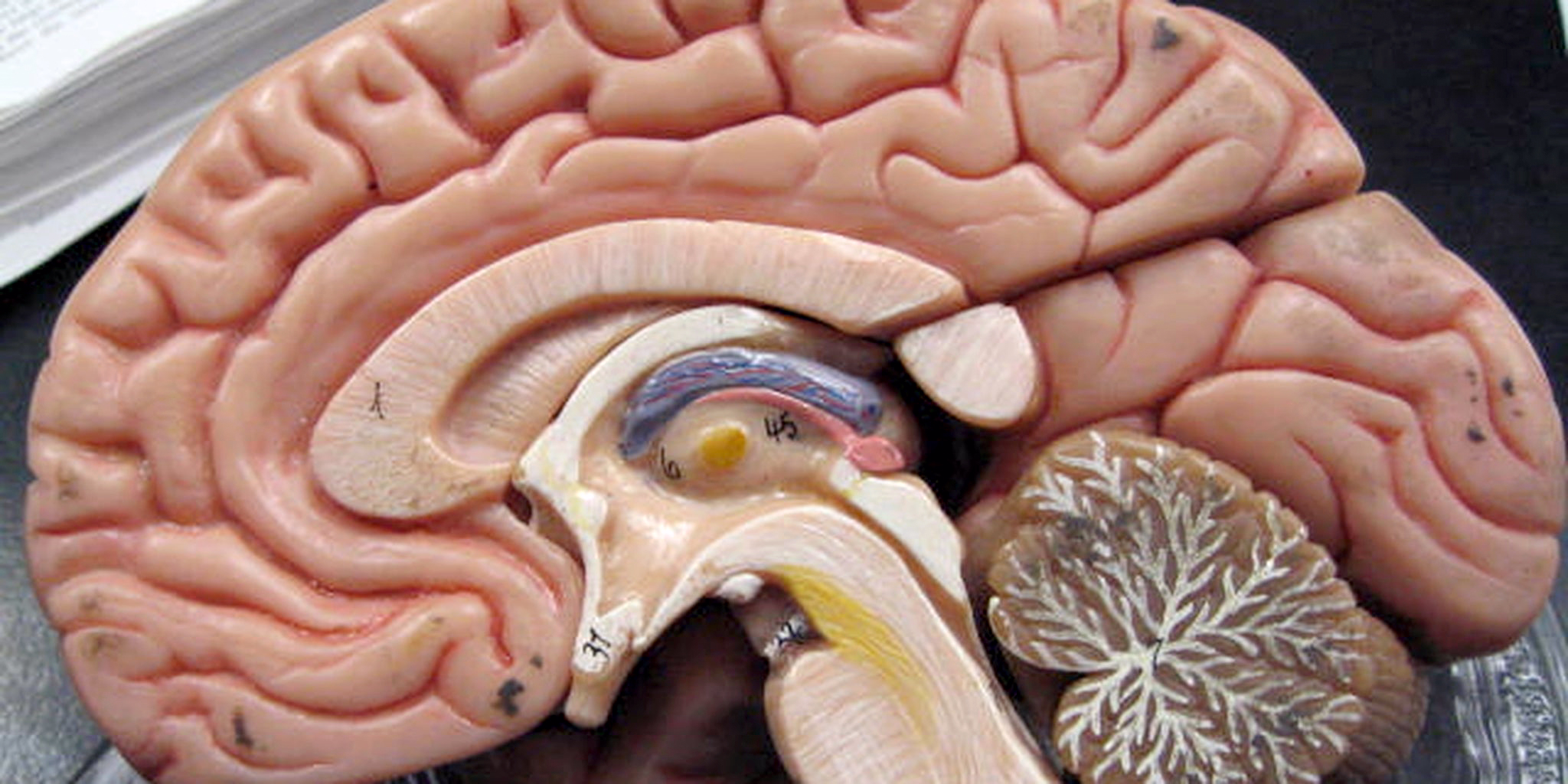 Malatya İnönü Üniversitesi Turgut Özal Tıp Merkezi (TÖTM), 17-21 Eylül