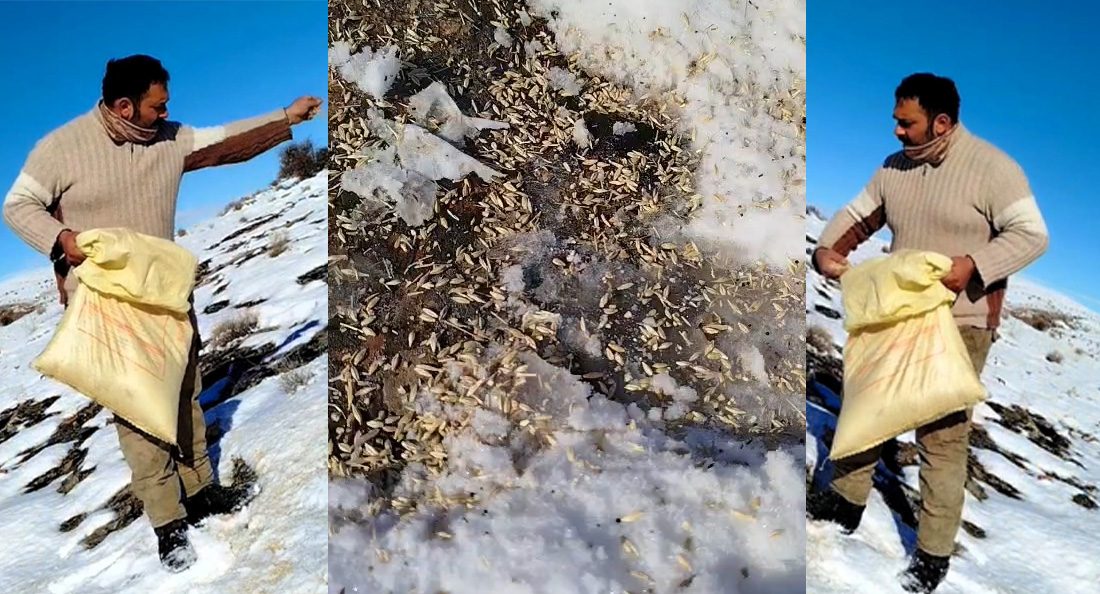 Malatya’nın Arapgir ilçesine bağlı Deregezen Mahallesi’nde yaşayan Barış Yağmur, kış