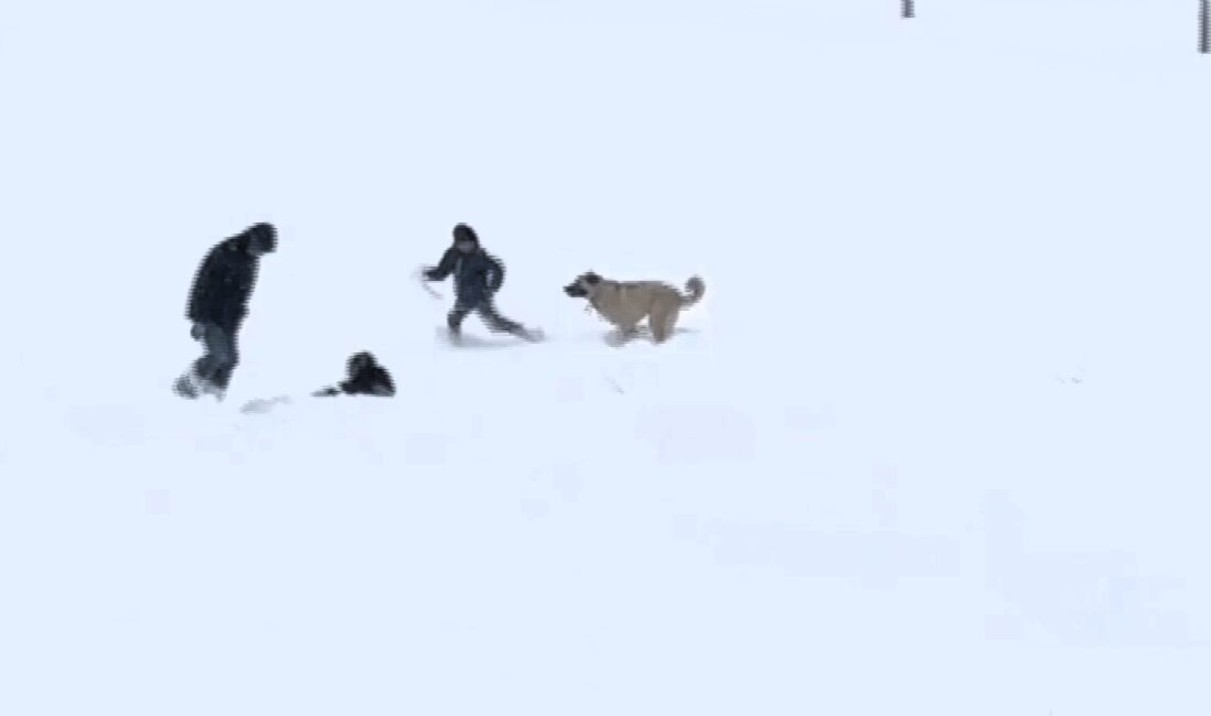 Uzun Bir Aradan Sonra Etkili Olan Kar Yağışı, Yarıyıl Tatilini