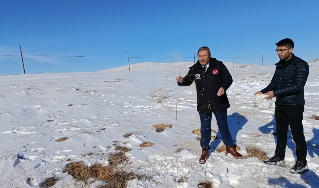 Kar Kalınlığının Yer Yer 25 Santimetreye Ulaştığı Darende’de, Zorlu Kış