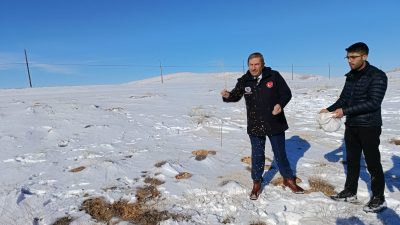 Kar Kalınlığının Yer Yer 25 Santimetreye Ulaştığı Darende’de, Zorlu Kış