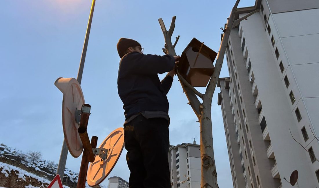 Malatya’da Duyarlı Esnaftan Kuşlar İçin Yuva Projesi Battalgazi’de bir esnaf, soğuktan ölen bir kuşun ardından kuşlar için
