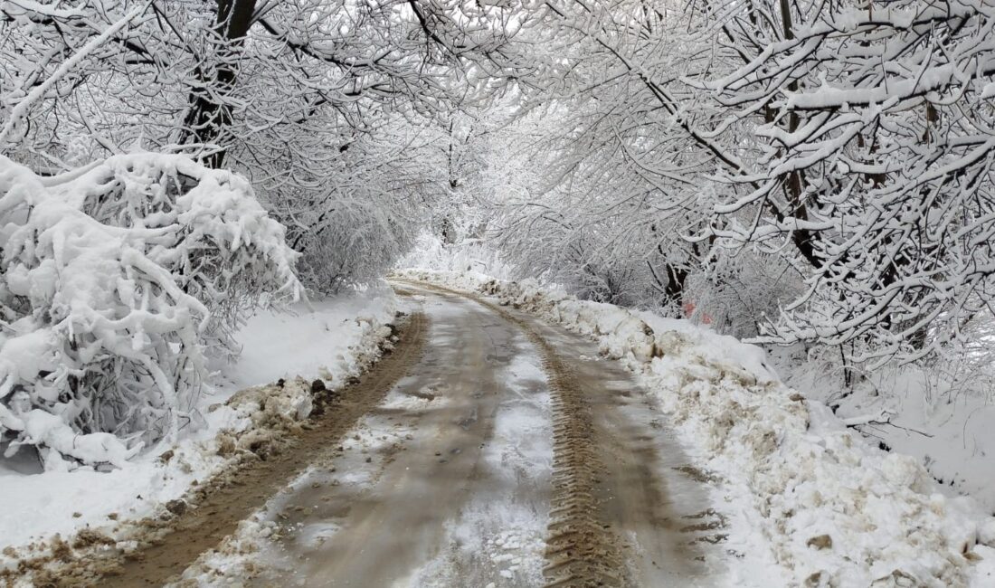 Malatya Büyükşehir Belediyesi, il genelinde 109 mahallede 2 bin 105
