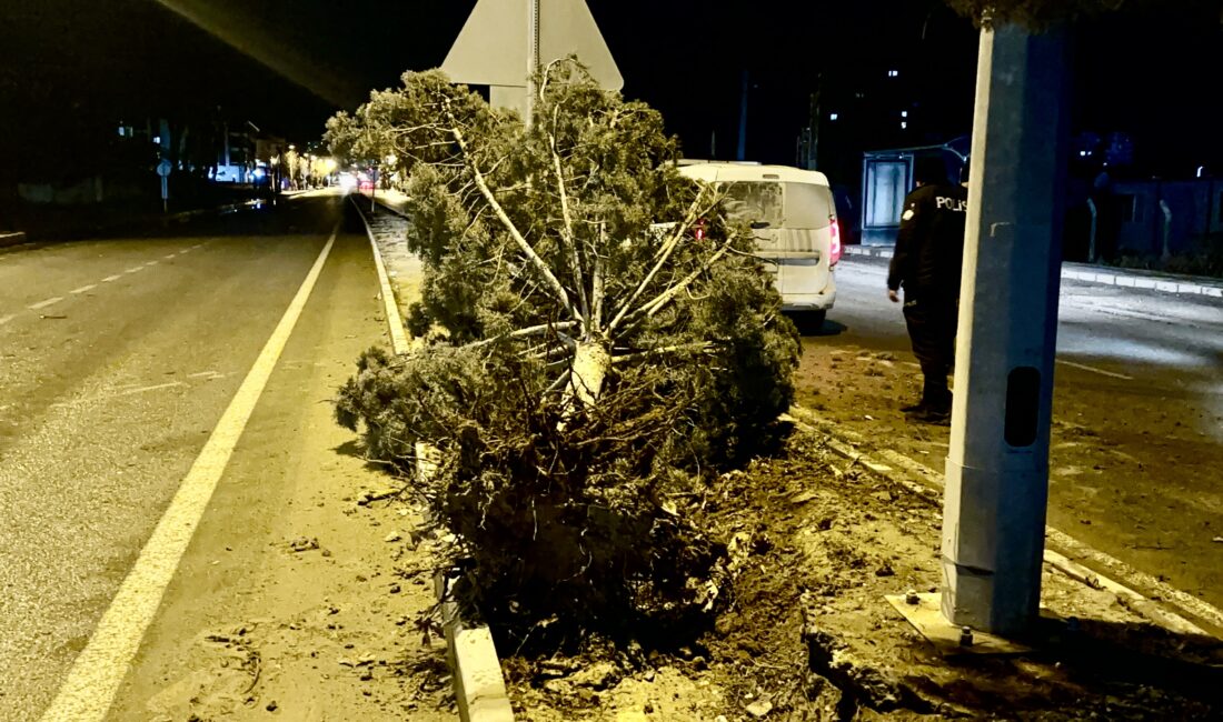 Malatya’da gece yarısı etkili olan fırtına nedeniyle ağaçlar devrildi, tabelalar