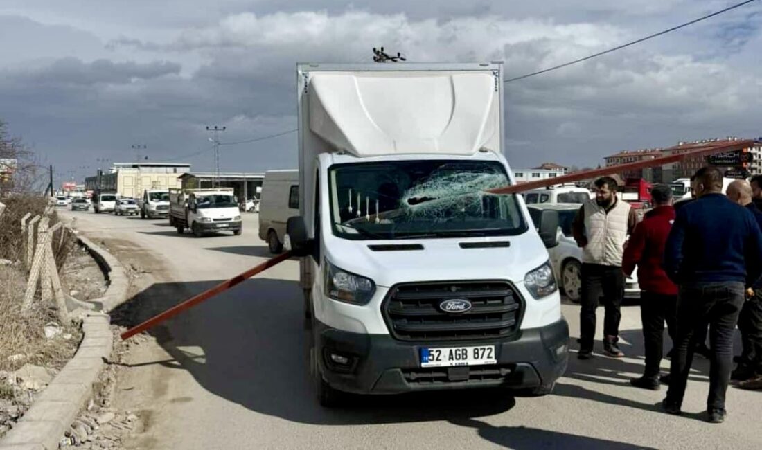 Malatya’da şiddetli rüzgar nedeniyle bir araçtan koparak savrulan demir parça,