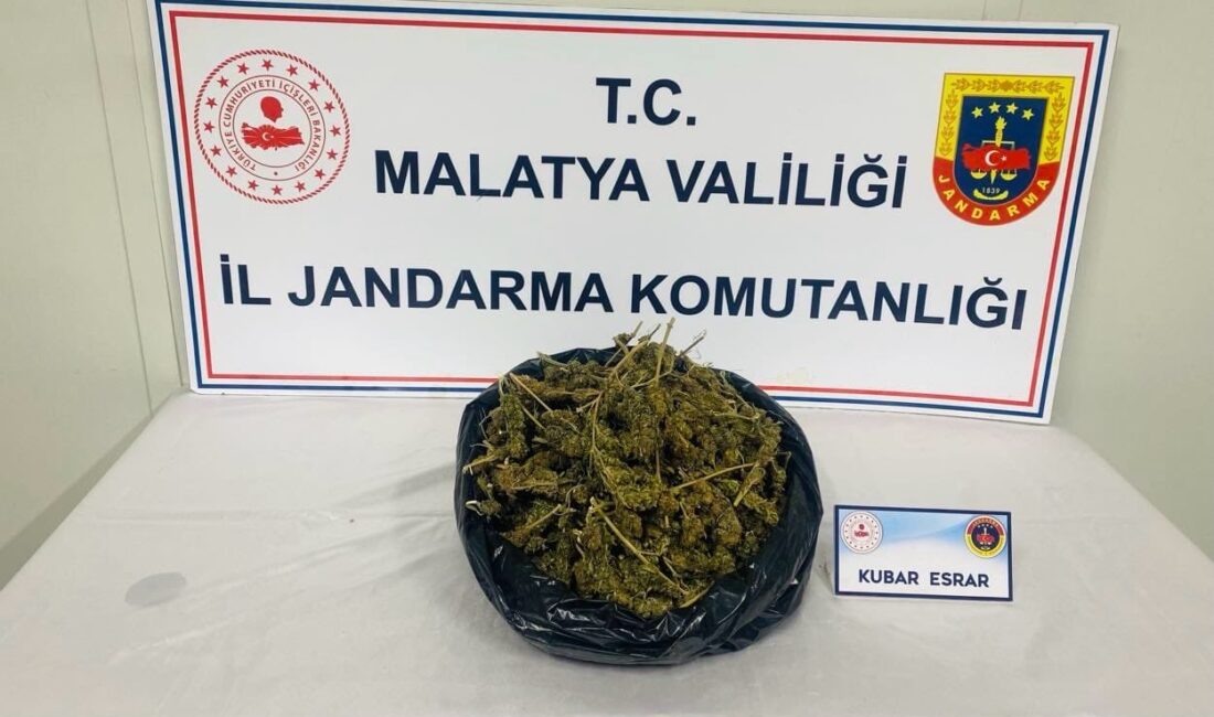 Malatya’da jandarma ekiplerince düzenlenen narkotik operasyonunda uyuşturucu madde ele geçirilirken,