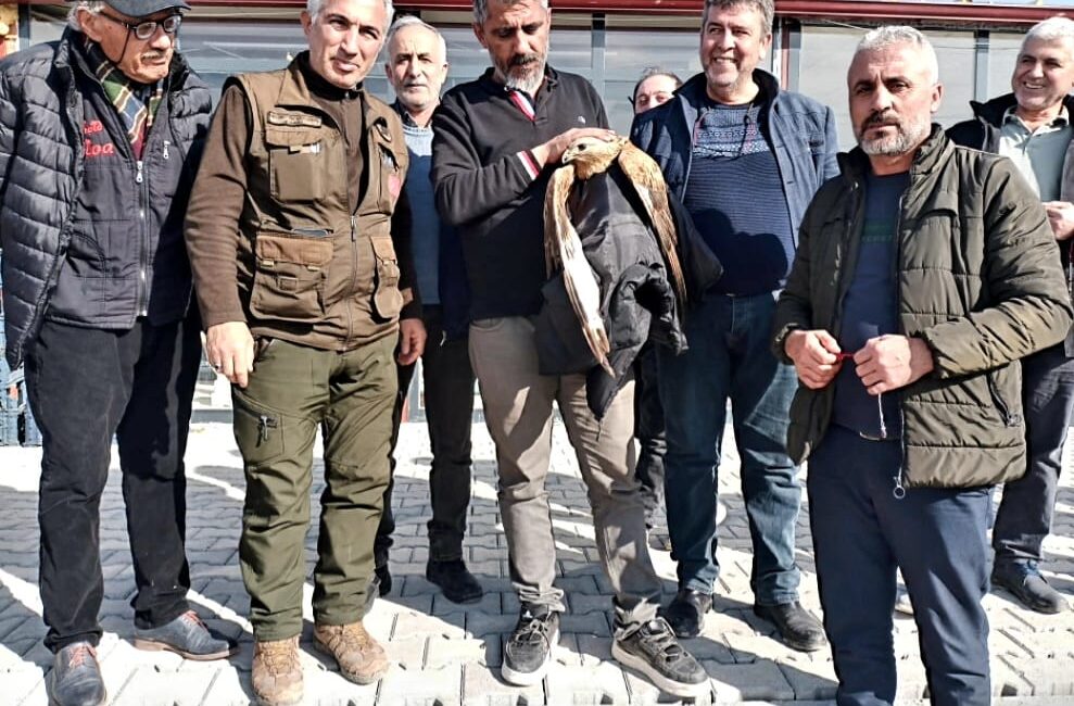 Malatya’nın Yeşilyurt ilçesinde kırsal alanda kanadı kırık halde bulunan nesli
