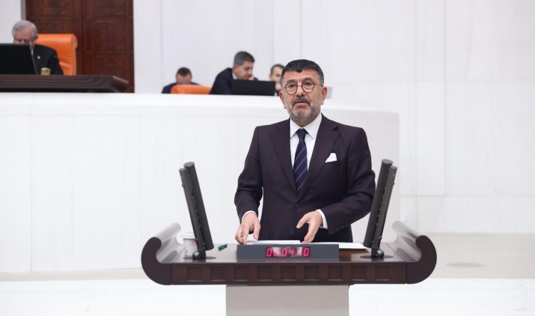 CHP Malatya Milletvekili ve TBMM Plan ve Bütçe Komisyonu Sözcüsü