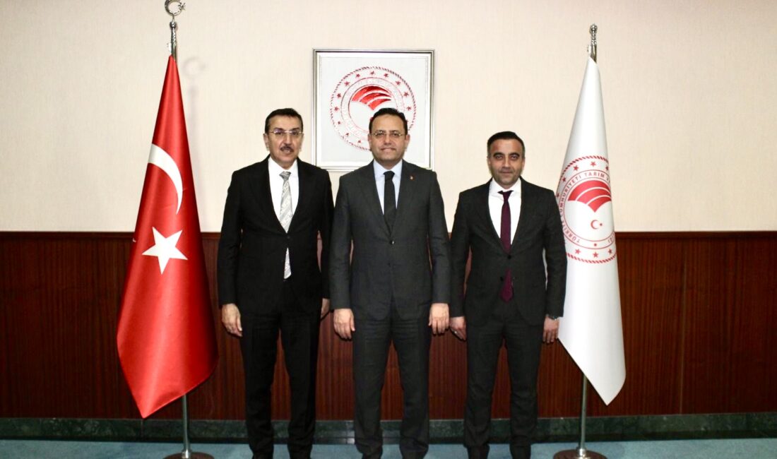 Akçadağ Küçük Sanayi Sitesi İçin Arazi Sorununda Kritik Adım Atıldı Malatya’nın Akçadağ ilçesinde kurulması planlanan Küçük Sanayi Sitesi için arazi