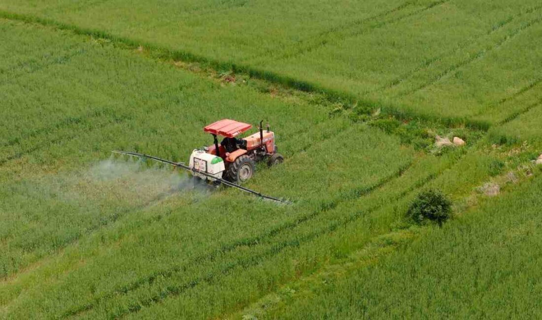 Tarım ve Orman Bakanı İbrahim Yumaklı, toplam 10 milyar 688