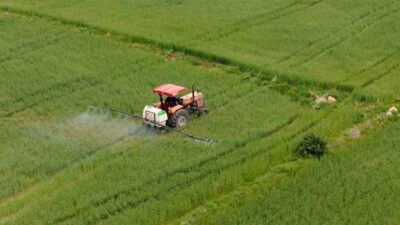 Tarım ve Orman Bakanı İbrahim Yumaklı, toplam 10 milyar 688