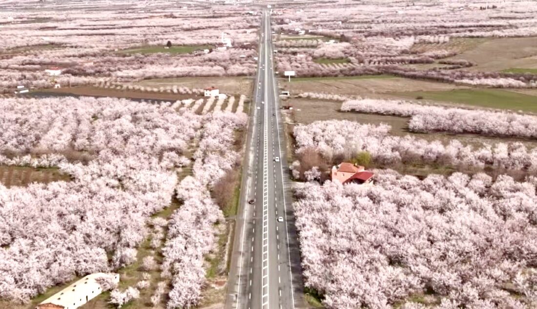 Vali Seddar Yavuz, çiçek açan kayısı bahçelerinin şehrin direncini ve