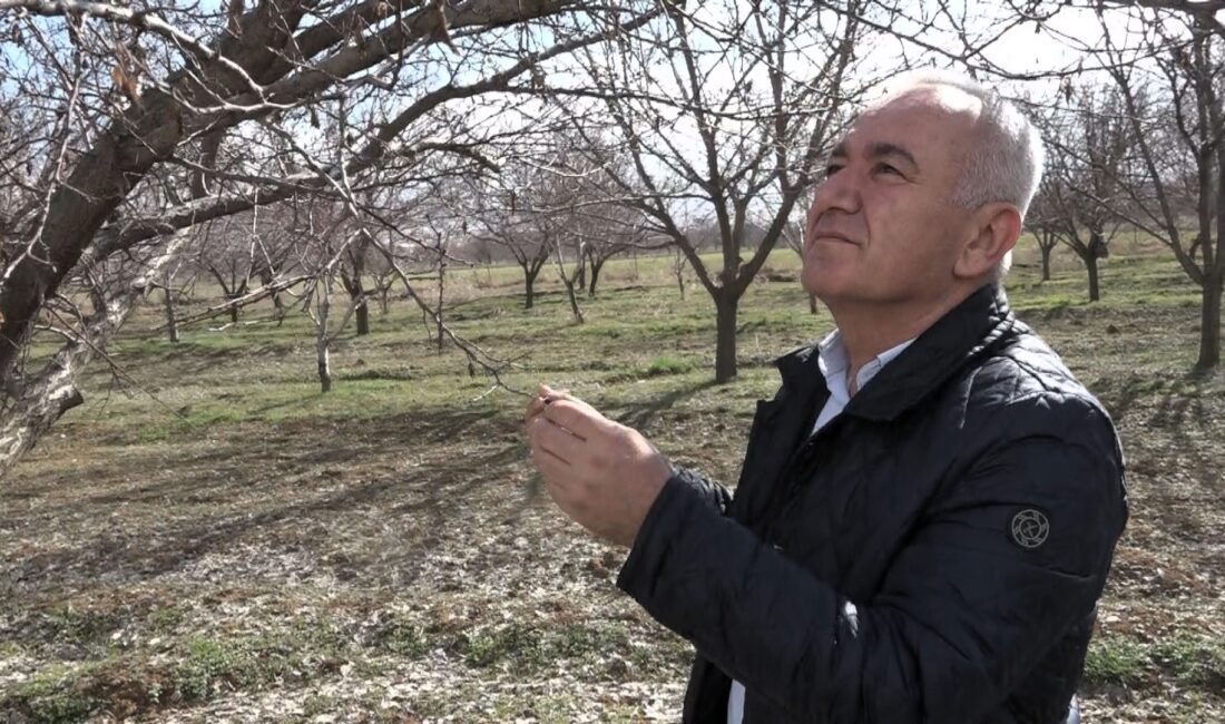 Malatya Ziraat Mühendisleri Odası Başkanı Fevzi Çiçek, geçen yıl 1–13