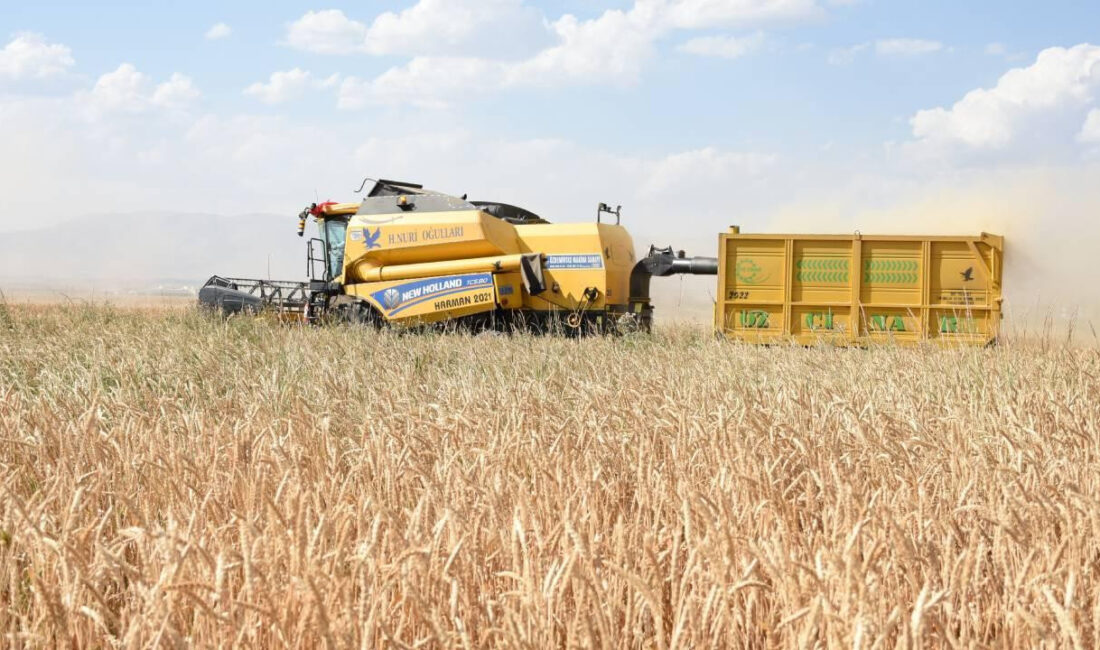 Türkiye İstatistik Kurumu (TÜİK) verilerine göre 2026 Şubat ayında Tarım