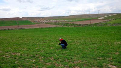 Yazıhan ilçesi Boyaca Mahallesi’nde, buğday üretiminde sürdürülebilir tarımı desteklemek amacıyla