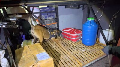 Kale Uygulama Noktasında durdurulan yolcu otobüsünde narkotik köpeğinin tepki vermesiyle