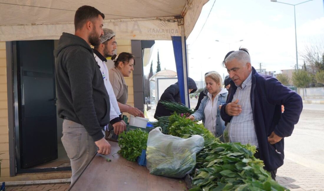 Adıyaman Belediyesi’nin 10 dönümlük üretim alanında yetiştirdiği sebzeler, hasat edildikçe