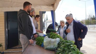 Adıyaman Belediyesi’nin 10 dönümlük üretim alanında yetiştirdiği sebzeler, hasat edildikçe