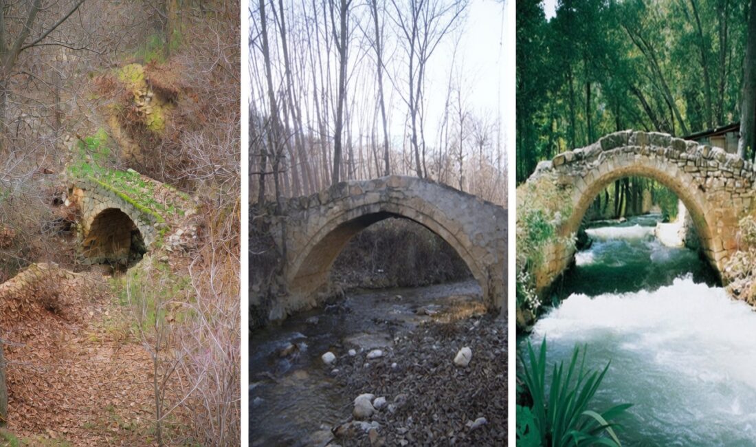 Malatya’nın Darende ilçesindeki Günpınar (Aşudu) Vadisi’nde bulunan tarihi köprülerin geleceği,