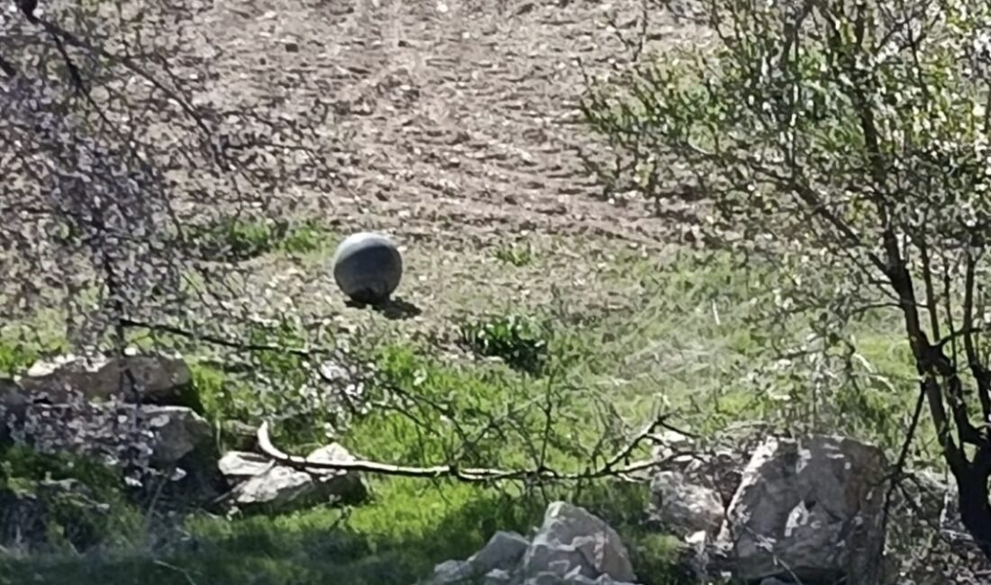Elazığ’ın Baskil ilçesinde tarlada bulunan metal cisim üzerine bölge güvenlik