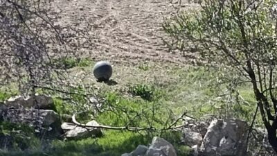 Elazığ’ın Baskil ilçesinde tarlada bulunan metal cisim üzerine bölge güvenlik