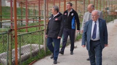 Darende’de Güvenli ve Sağlıklı Kurban Kesimi İçin Seferberlik Darende Belediyesi,