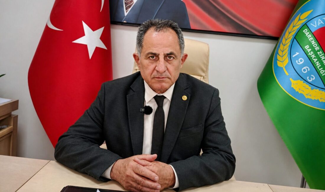 Darende’de 5 dakika süren dolu yağışı kayısıda yüzde 90’a varan