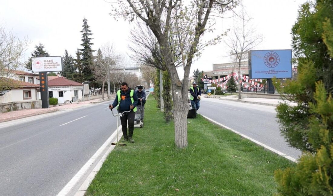 Elazığ Belediyesi Park ve Bahçeler Müdürlüğü ekipleri, kent genelinde park,