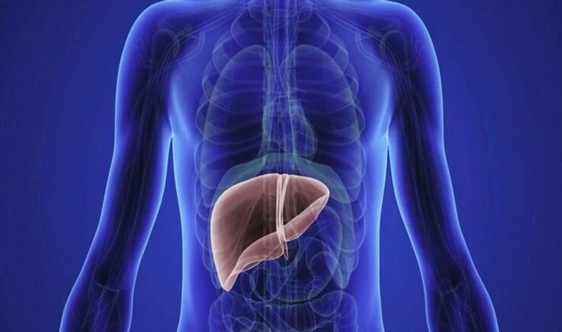 Karaciğere Ciddi Hasar Veren 5 Hata! Son yıllarda ülkemizde de hızla yaygınlaşan obezite, insülin direnci ve