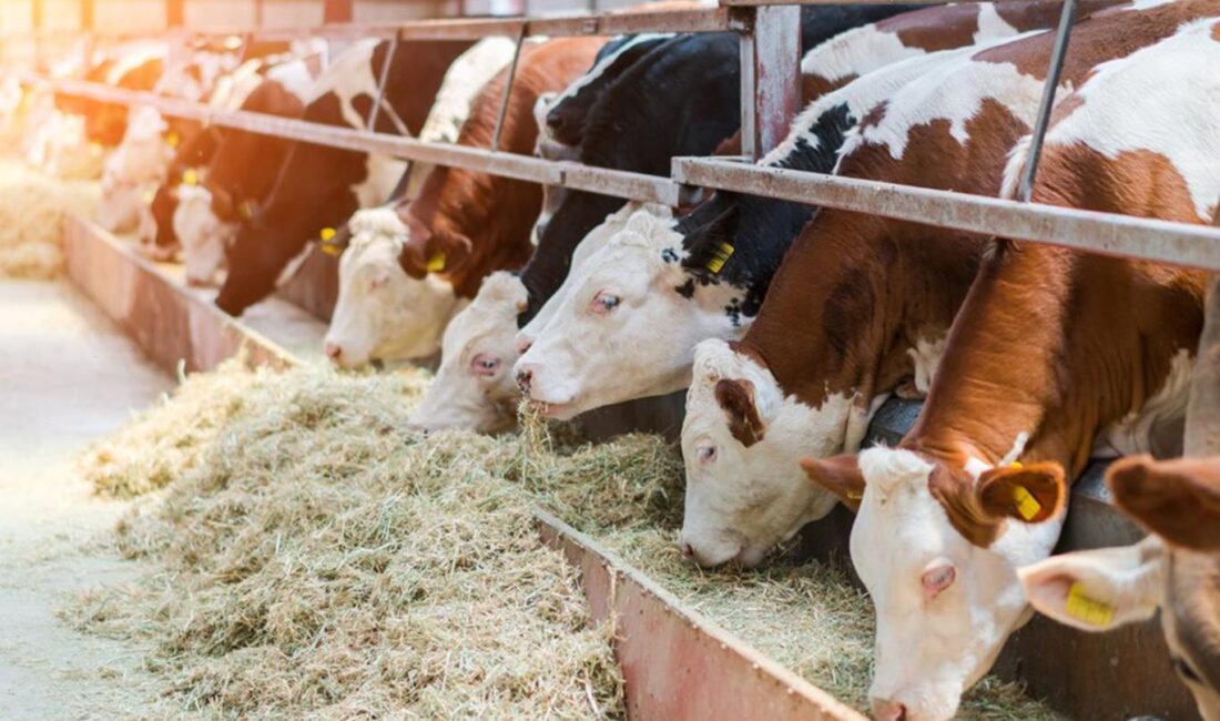 Kurban Bayramı öncesi Malatya’da sektör temsilcileri bir araya gelerek 2026