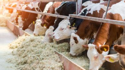 Kurban Bayramı öncesi Malatya’da sektör temsilcileri bir araya gelerek 2026