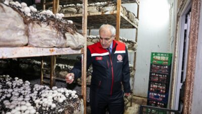 İl Tarım ve Orman Müdürü Osman Akar, Akçadağ’daki mantar üretim