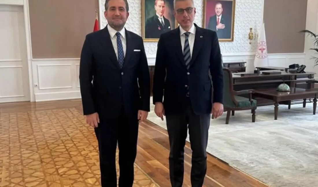 Sağlık Bakanlığı Sağlığın Geliştirilmesi Genel Müdürlüğü görevine Malatyalı yüksek mühendis