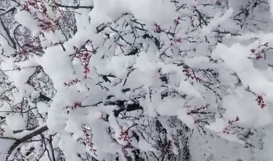 İlkbahar ortasında etkili olan kar yağışı Darende’de hayatı olumsuz etkilerken,