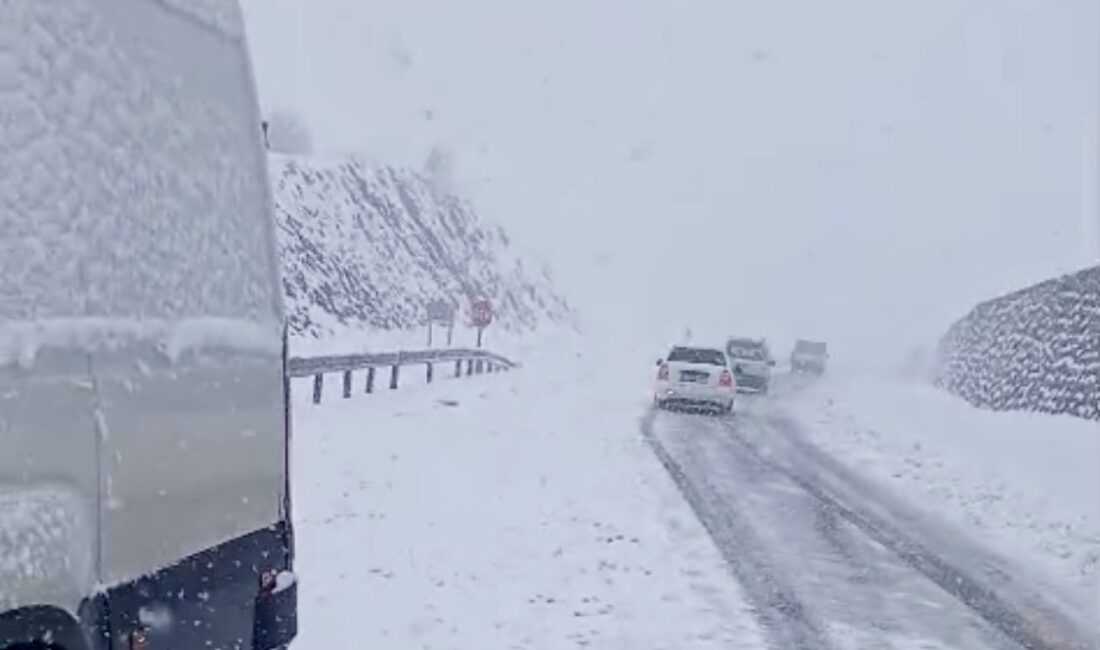 Malatya’da nisan ayında etkisini artıran soğuk hava ve kar yağışı,