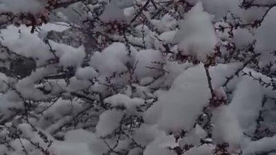 Doğanşehir ilçesine bağlı Sürgü Mahallesi’nde, ilkbahar ortasında etkili olan kar