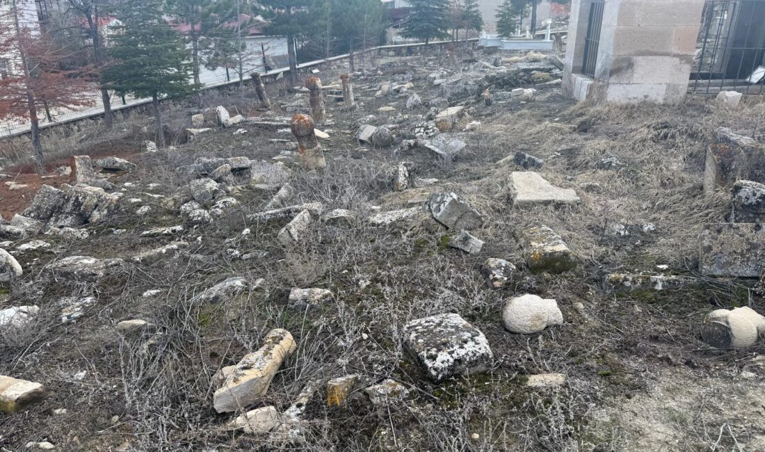 Darende ilçesindeki Heyiketeği Mezarlığı’nda yer alan tarihi mezar taşlarının doğal