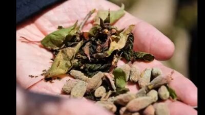 Malatya’da özellikle meyve üretiminin yoğun olduğu bölgelerde ilkbahar döneminde yaşanabilecek