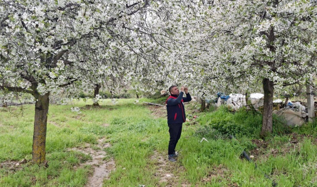 Afyonkarahisar’da Zirai Don Riskine Karşı Saha Kontrolleri Başladı Afyonkarahisar’da zirai don riskine karşı tarım arazilerinde saha kontrolleri hız